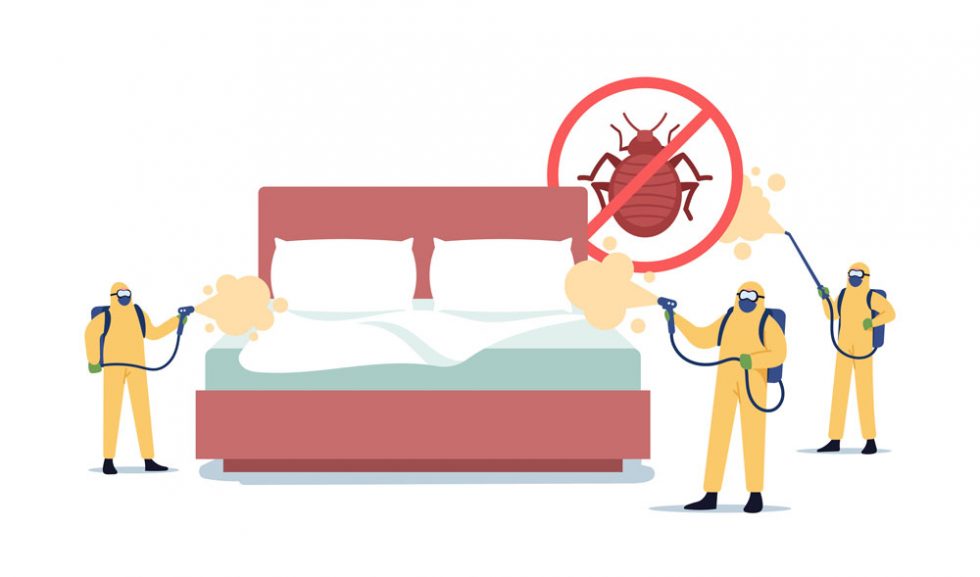 Bed Bugs Treatment Pestop